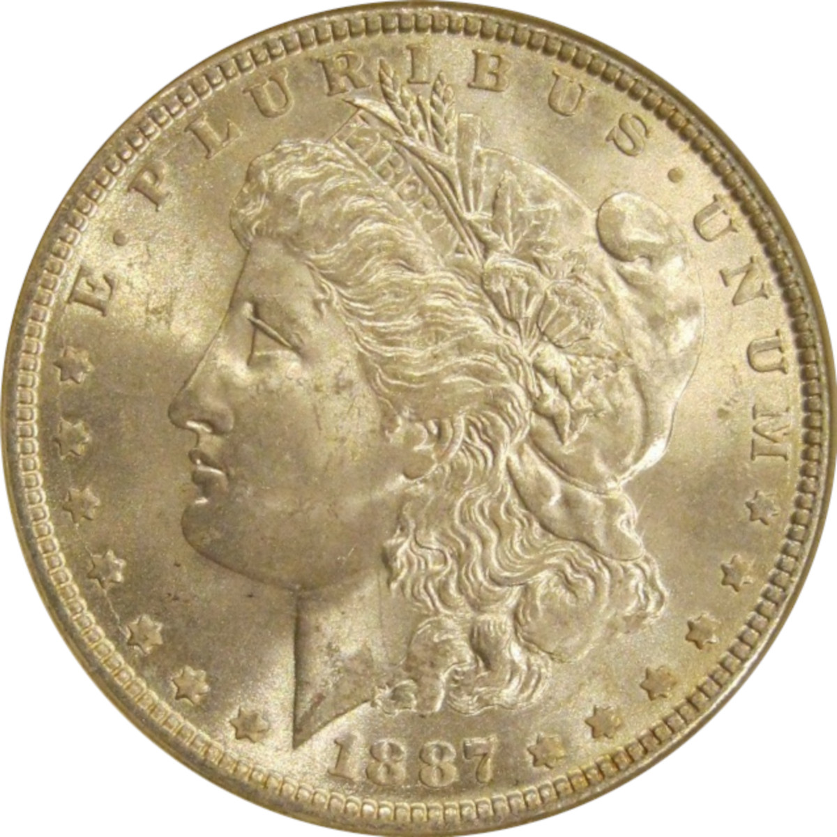 1887-$1-Morgan-Dollar-#17